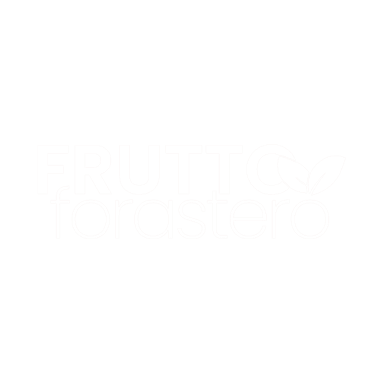 Frutto